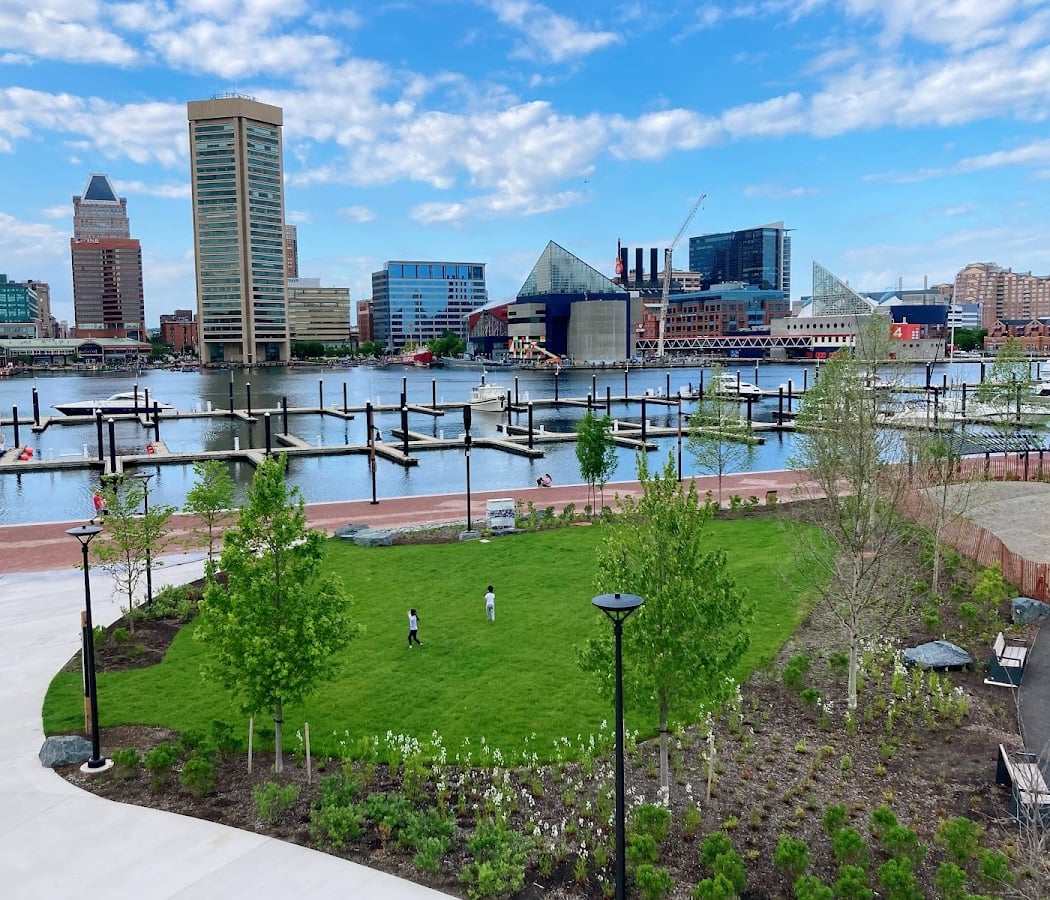 Waterfront Wellness: Rising Vibes Yoga 1