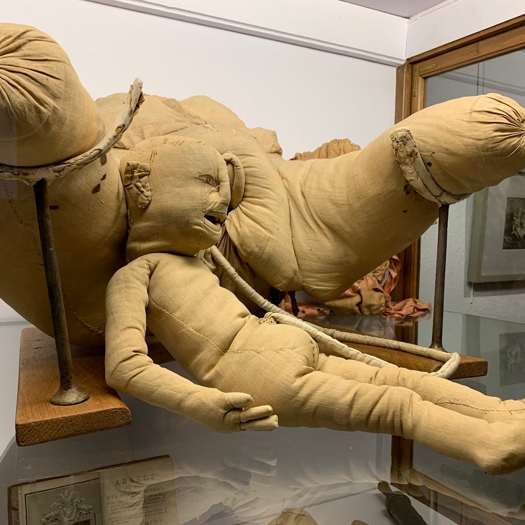 Musée Flaubert d'Histoire de la Médecine 1