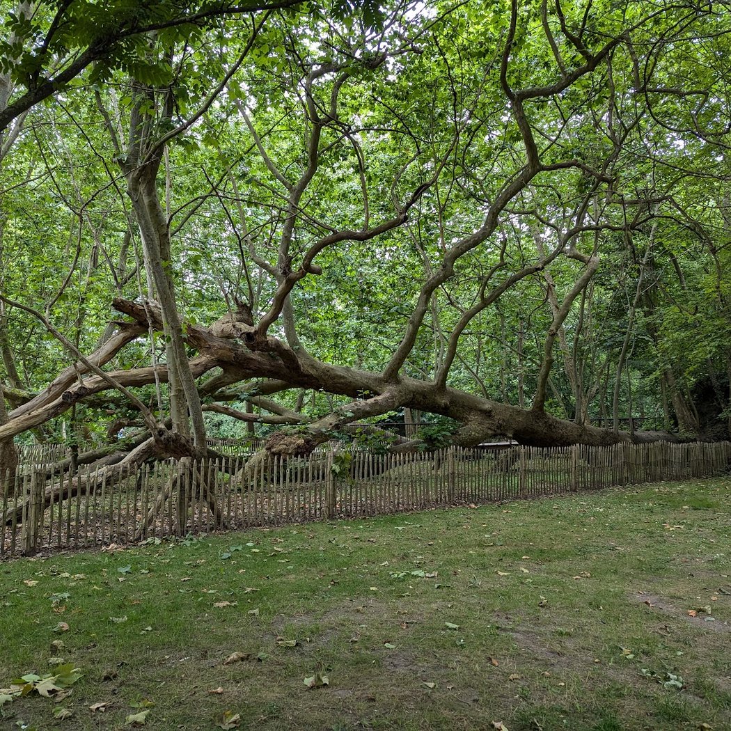 Frédéric Passy Environmental Park 2