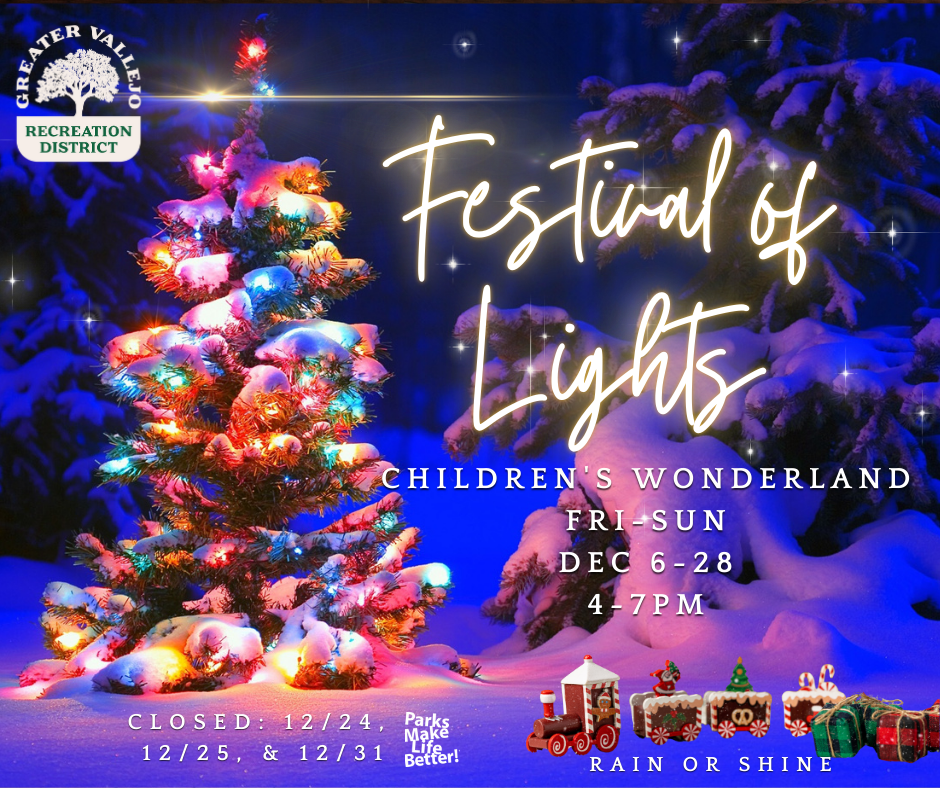 Festival of Lights 1