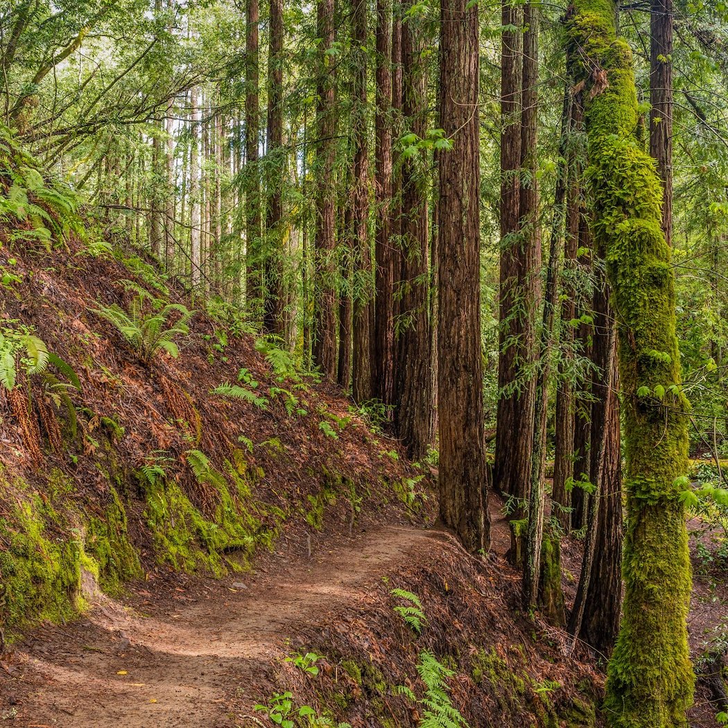 Dawn Falls Trailhead 3