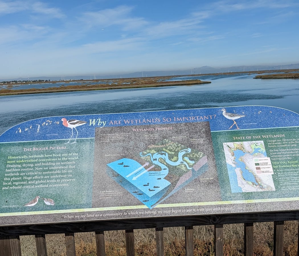 Bair Island Wildlife Refuge & Trail 3