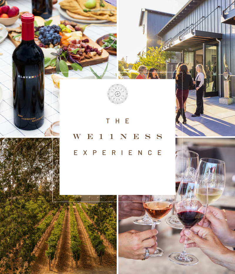 THE WE11NESS EXPERIENCE - October: Social Wellness featuring Meredith Sinclair, M.Ed.
