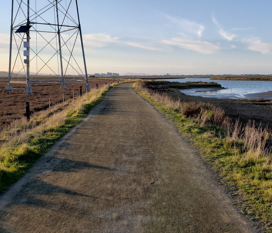 Bair Island Sunset Walk