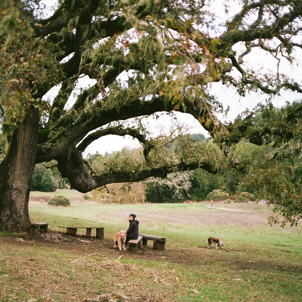 San Geronimo Commons 3