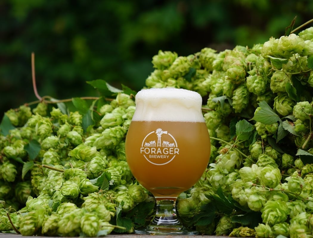 Forager Brewery 4