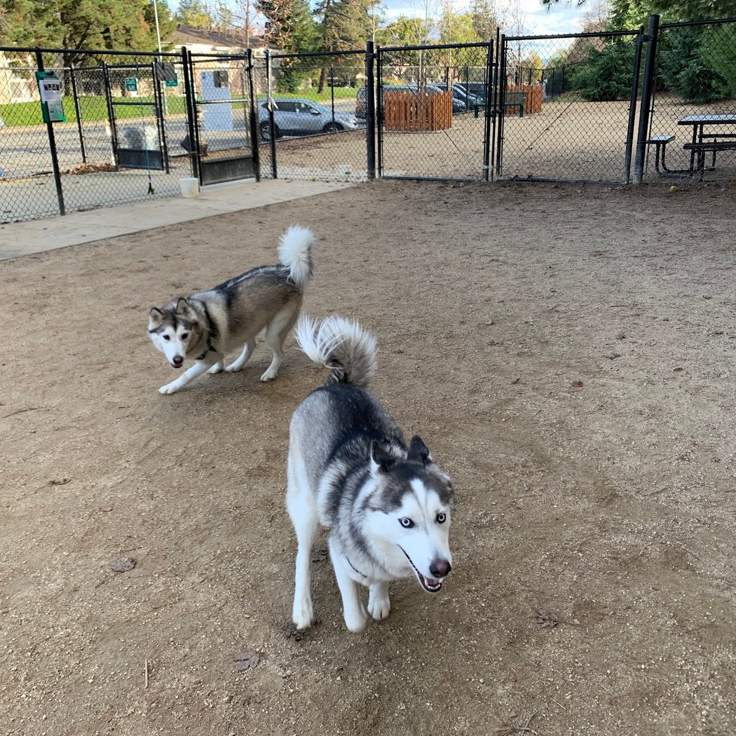 Mary Avenue Dog Park 1