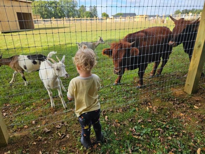 Carm’s Farm 2
