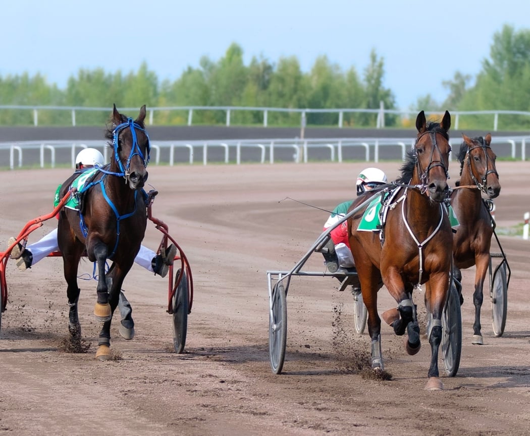Hippodrome de Chartres 1