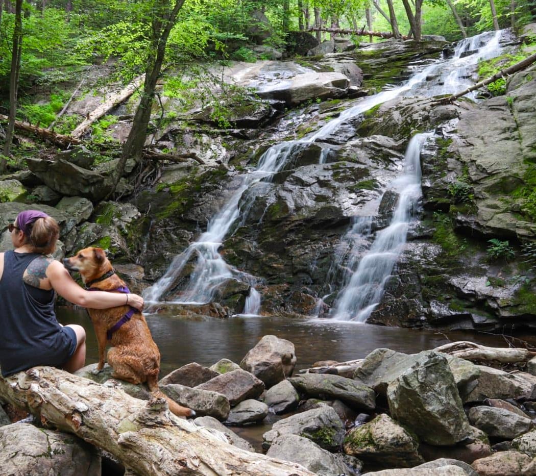 Black Rock Forest Lodge 2