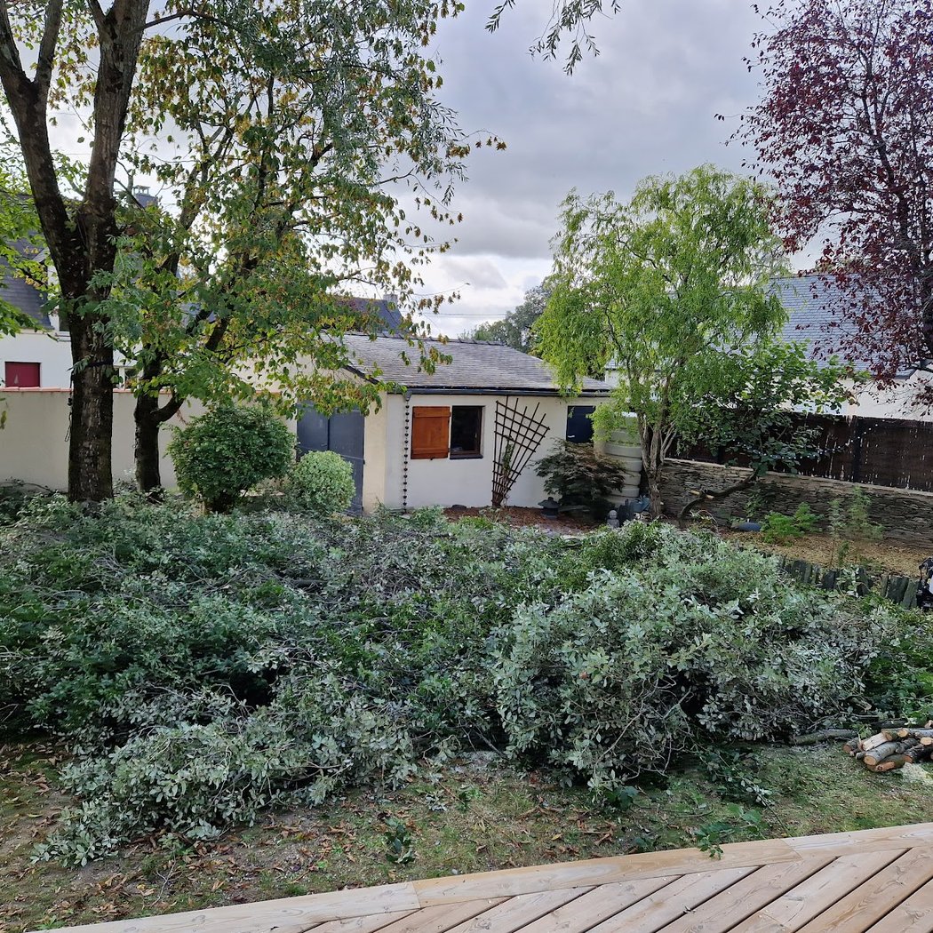 Paysage Beauté Jardin 3