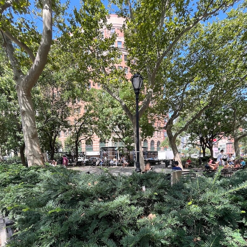 Tribeca Park 2