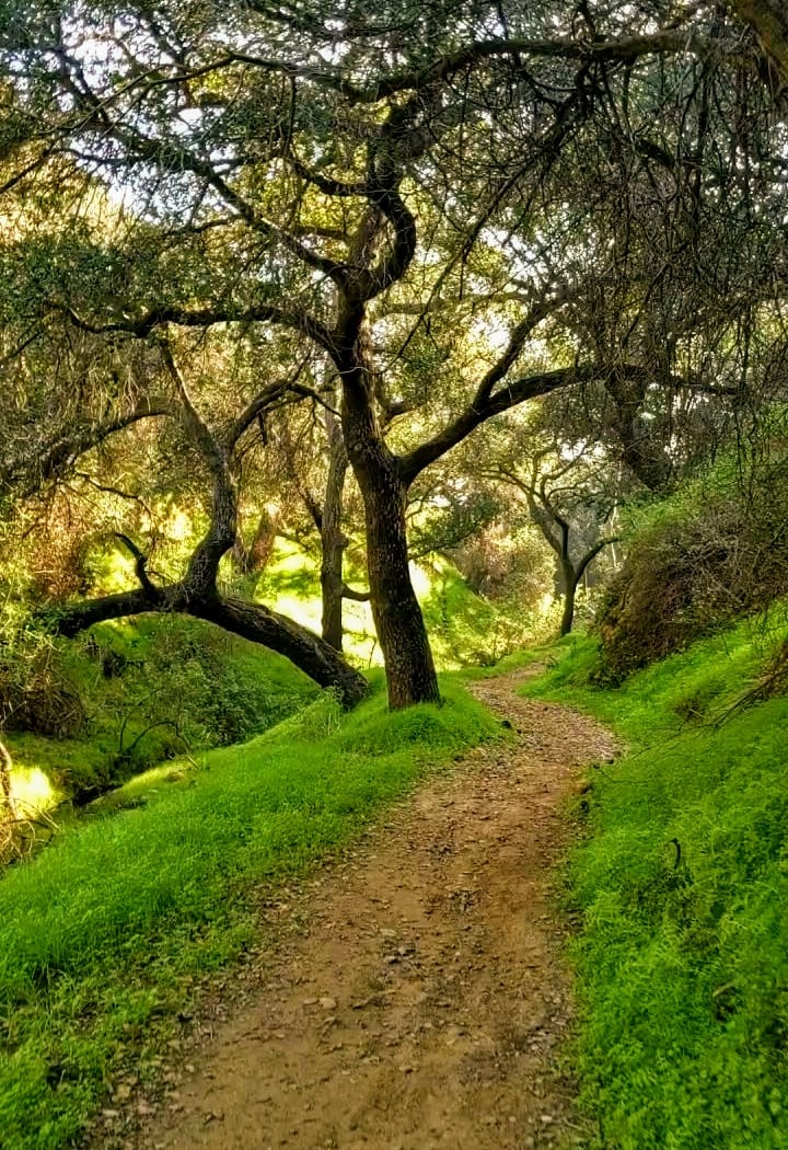 Hacienda Hills Trailhead 1