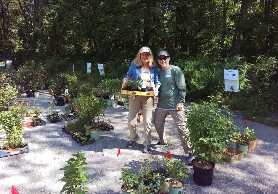 Native Plant Sale 2