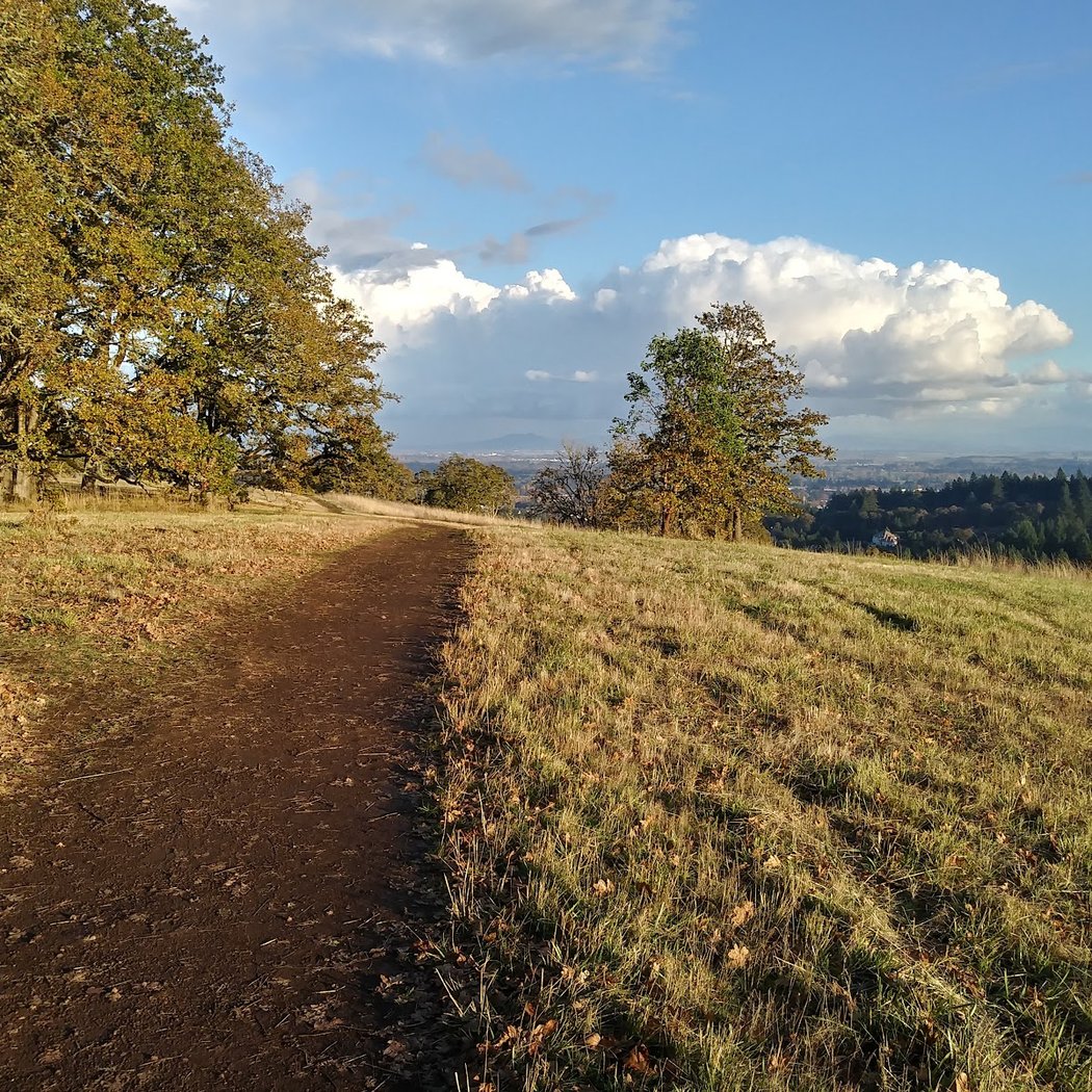 Chip Ross Park 2