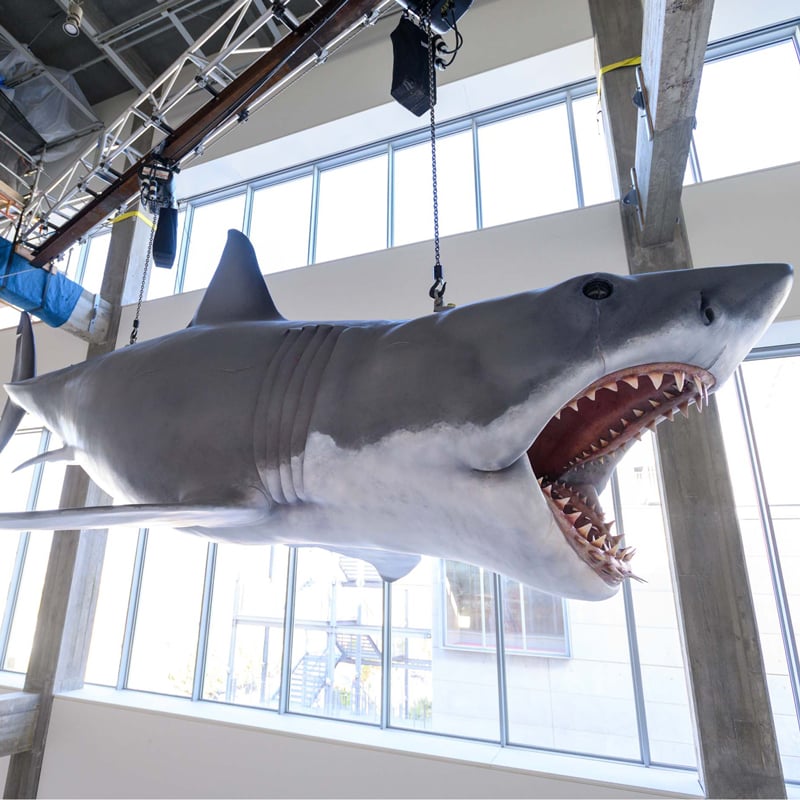 Jaws: The Exhibition 2