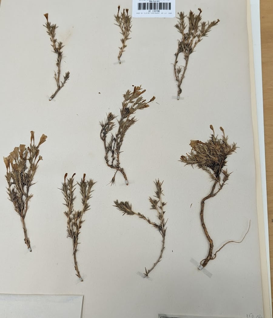 University Herbarium 1