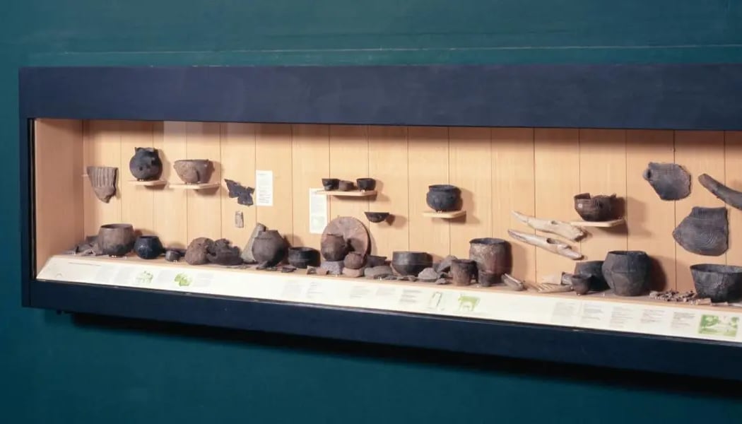 Visite générale des collections en LSF 2