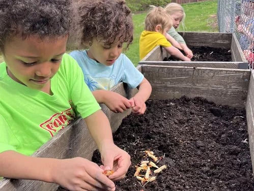 Community Farm Day 2