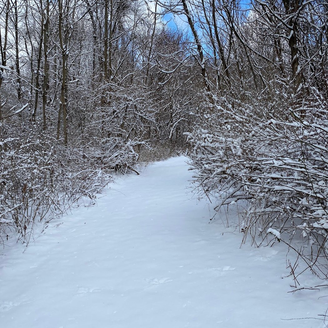 Edward R Murrow Memorial Park 1