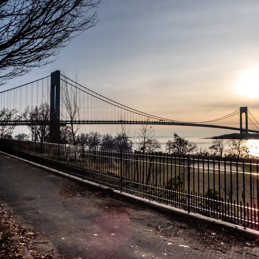 NYRR Open Run