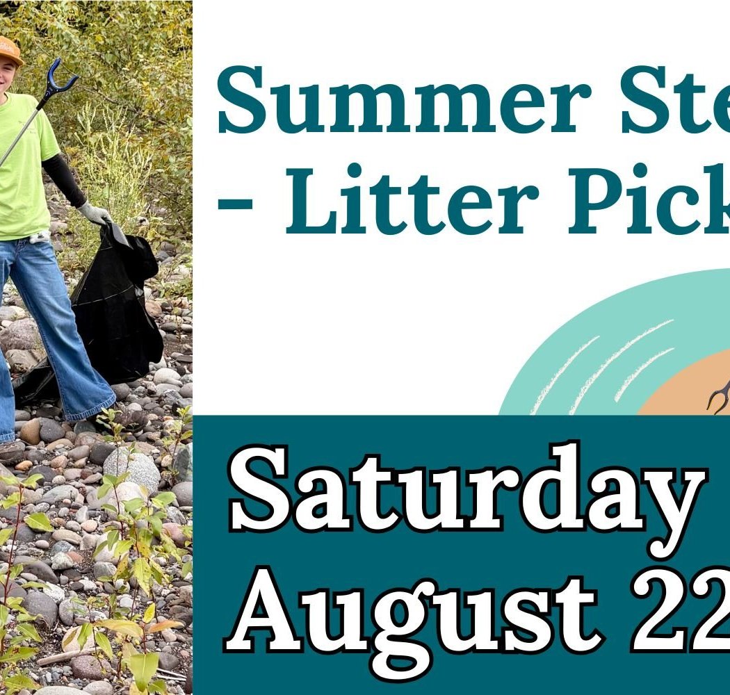 Summer Stewards – Litter Pickup 1