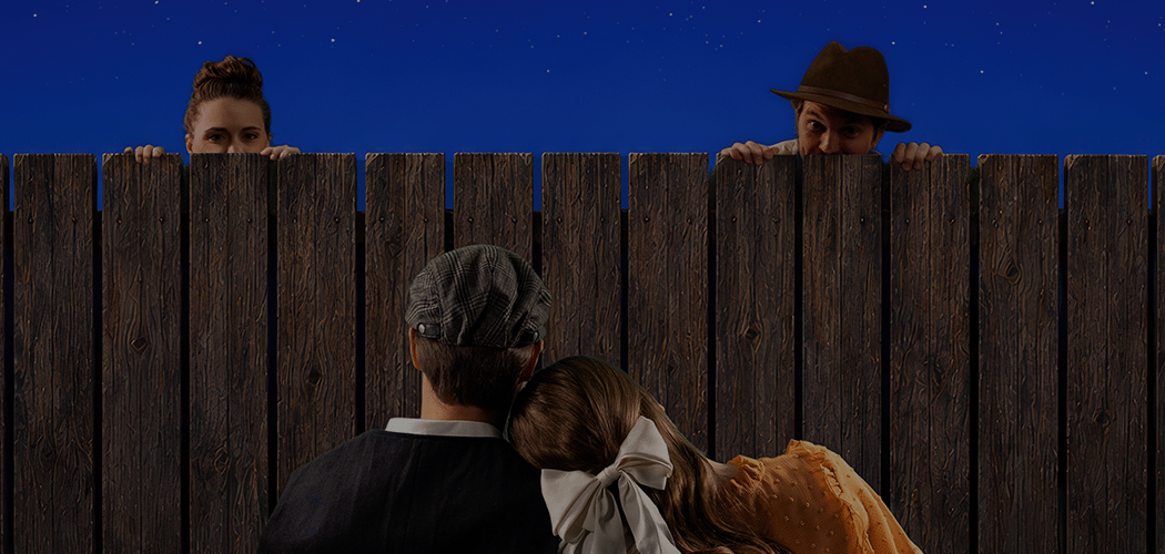 The Fantasticks 3