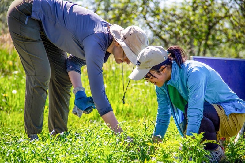 Volunteering: Farm Stewardship 3