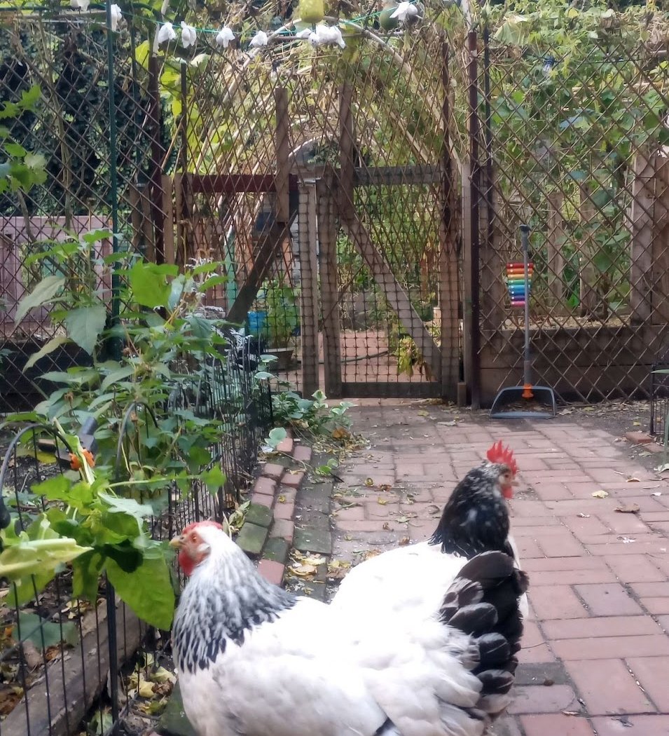 Gatehouse Garden (GreenThumb) 3