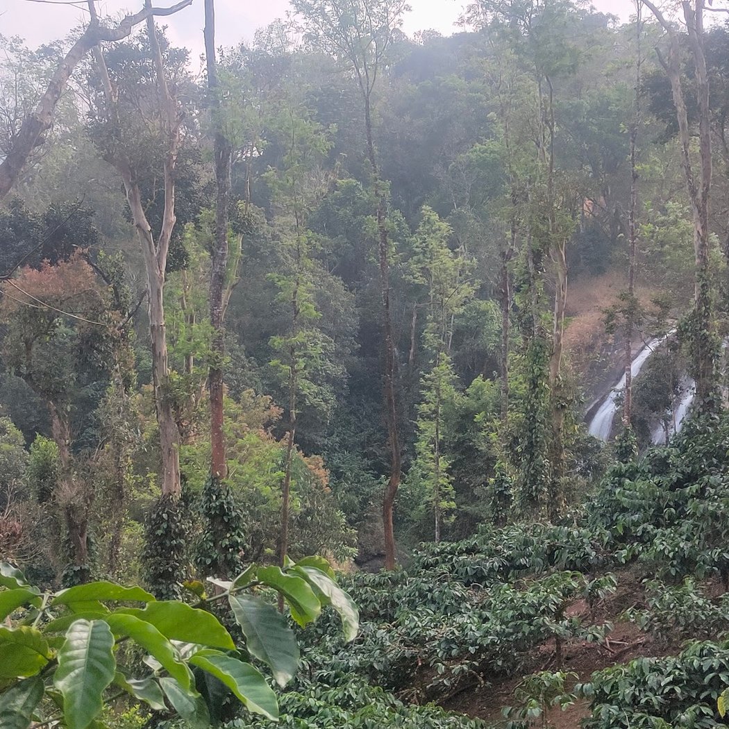 Chelavara Waterfalls 3