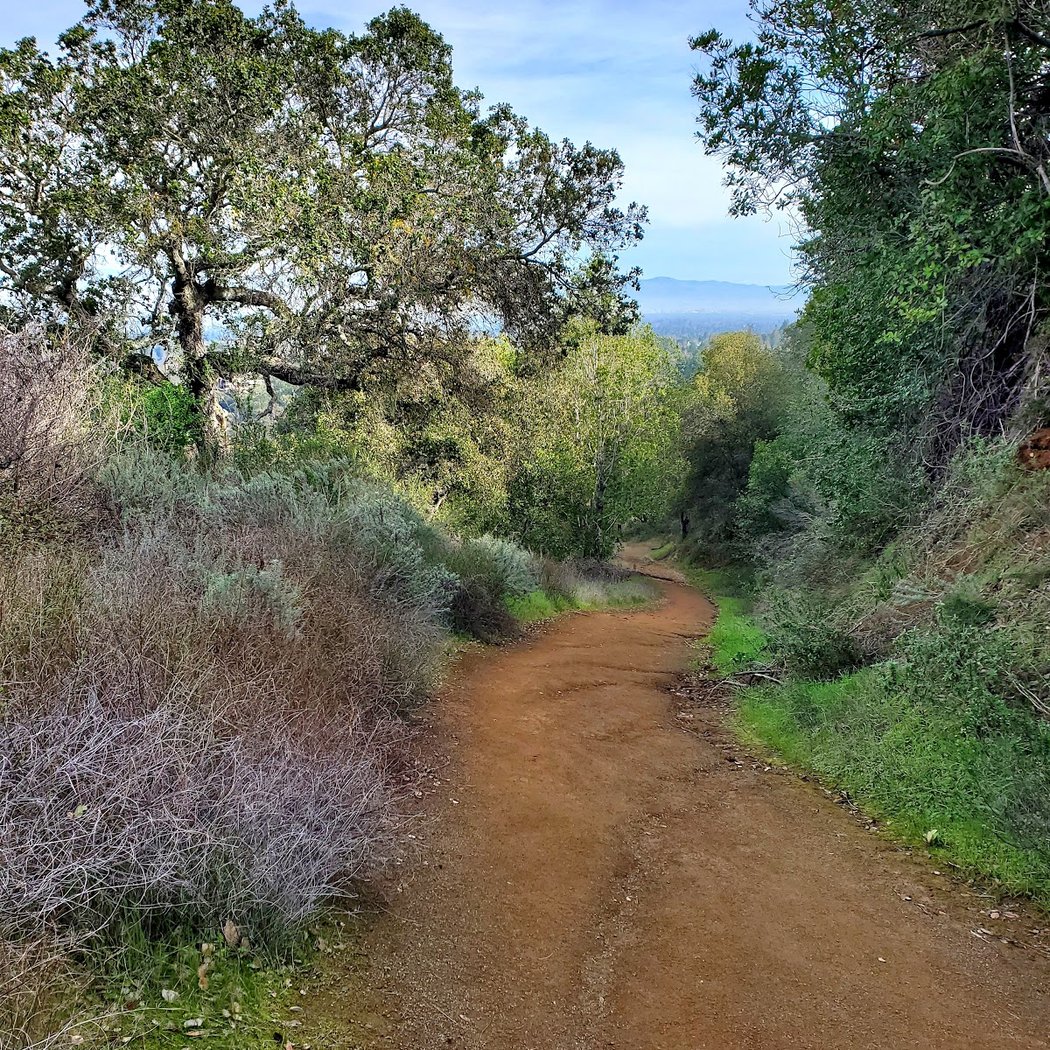 Chamise Trail 3
