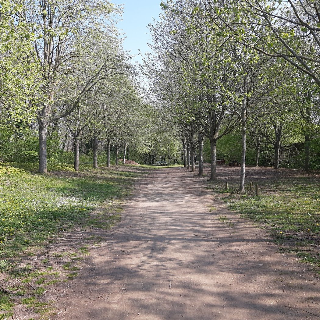 Coulée Verte 1
