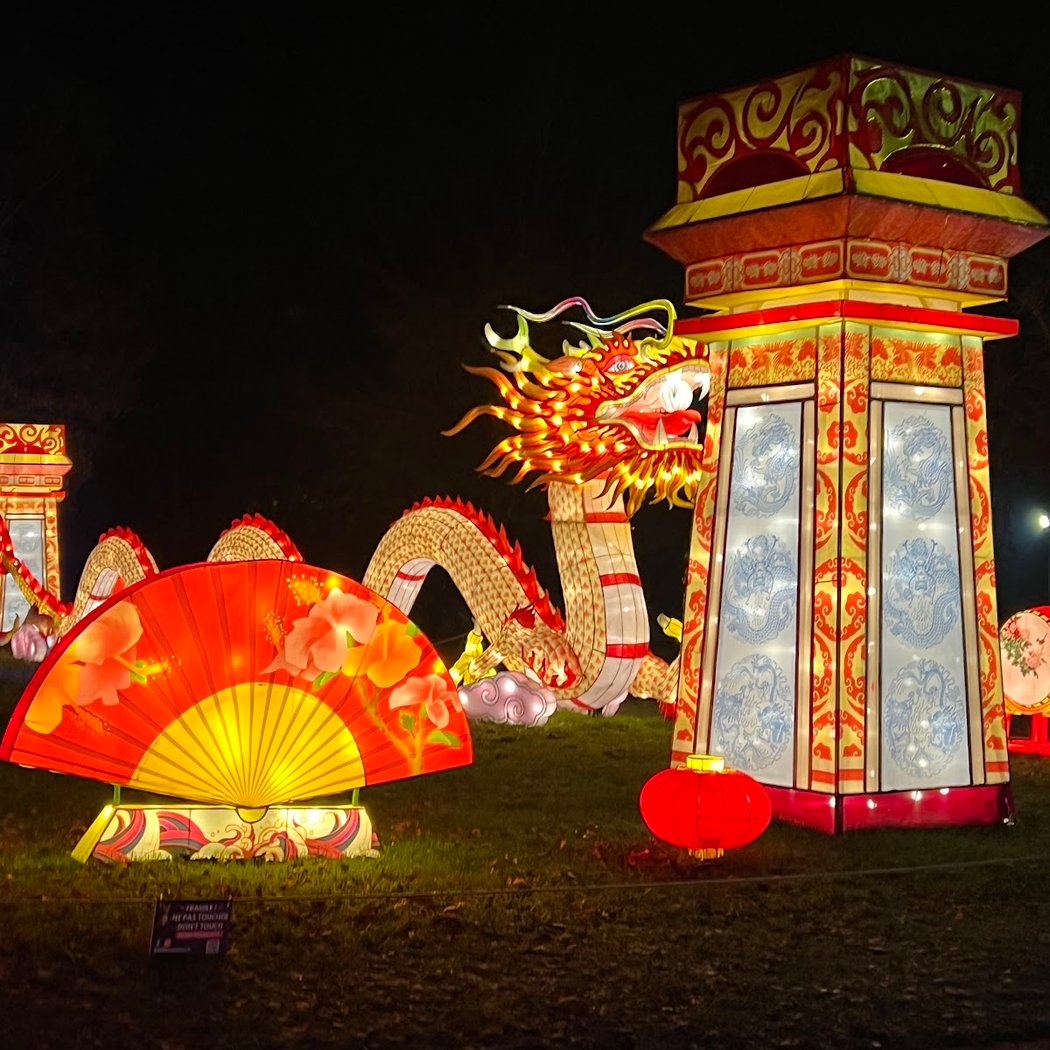 Parc floral - L'Odyssée Lumineuse 3