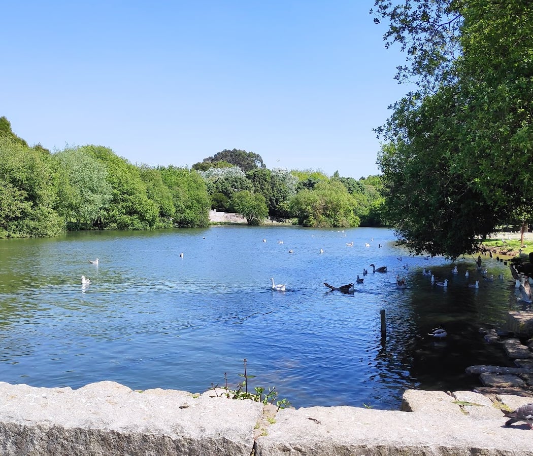 Parque da Cidade do Porto 4