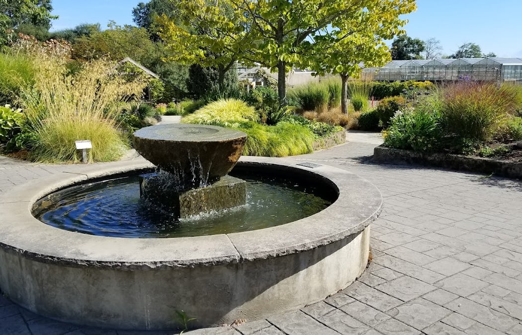Gardening with the Seasons: Summer 1