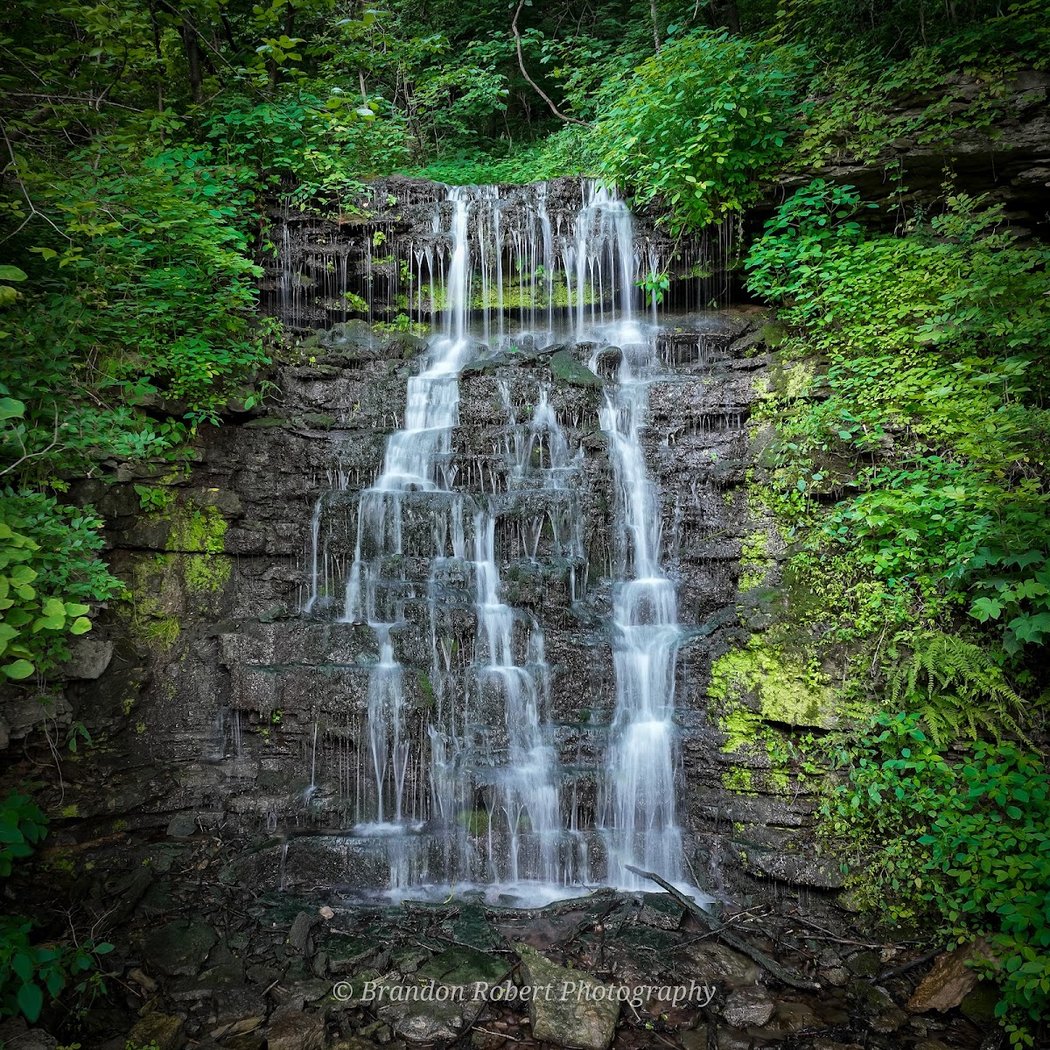 Cove Spring Park Nature Exploration 1