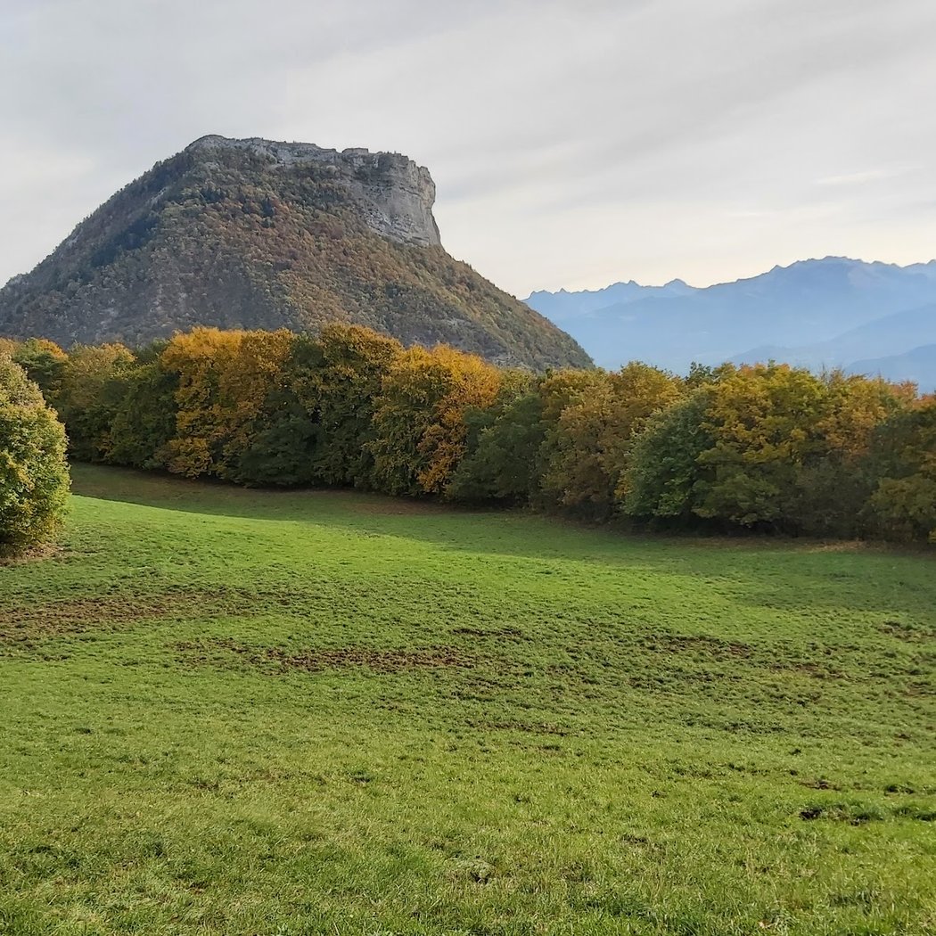 Chartreuse Mountains 3