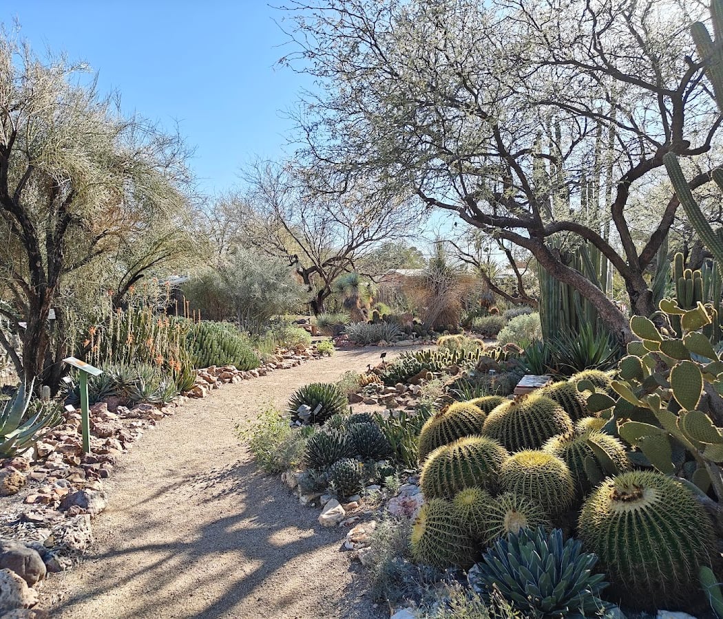 Tucson Botanical Gardens 1