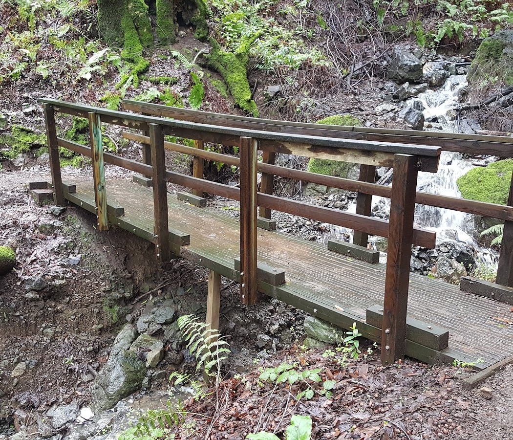 Fern Loop Trail 3