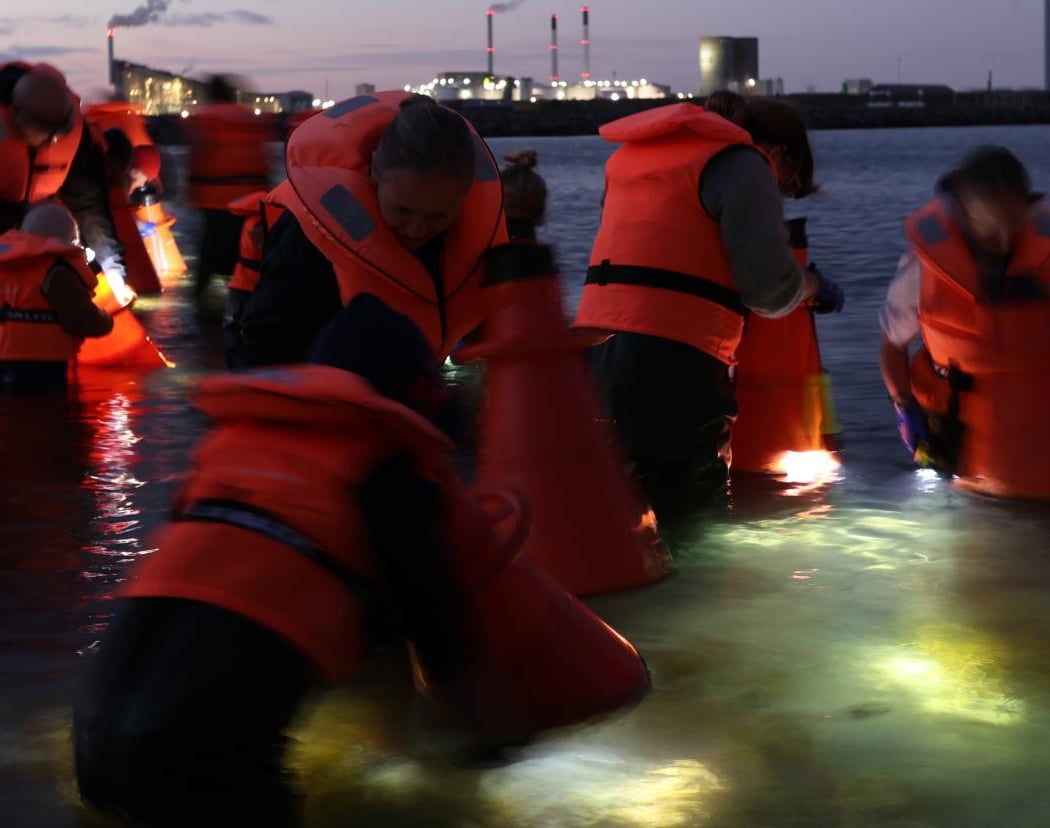 Efterårsferie: Aften-waderstur for hele familien - guidet tur