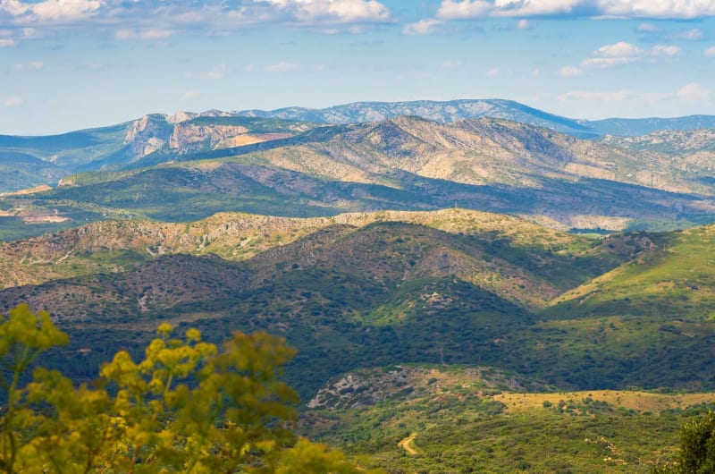 Corbières 1