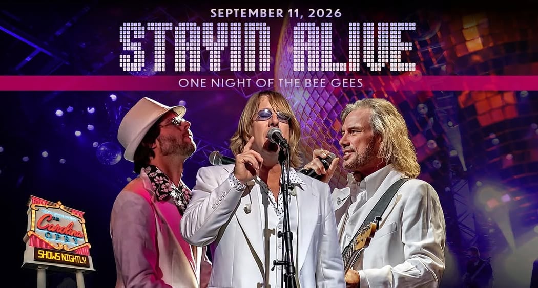 Stayin' Alive: One Night of the Bee Gees