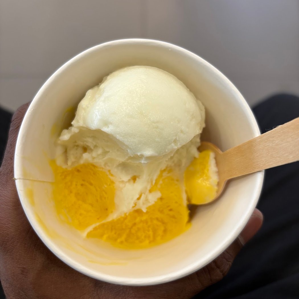 Naturals Ice Cream 3