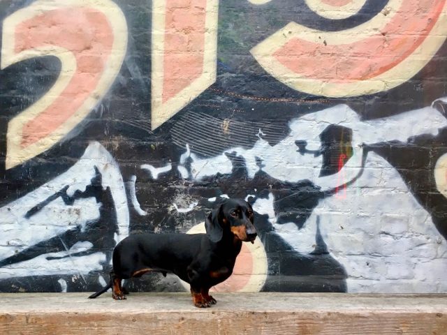 Street Art 2