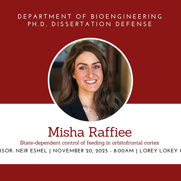 PhD Dissertation Defense: Misha Raffiee 1