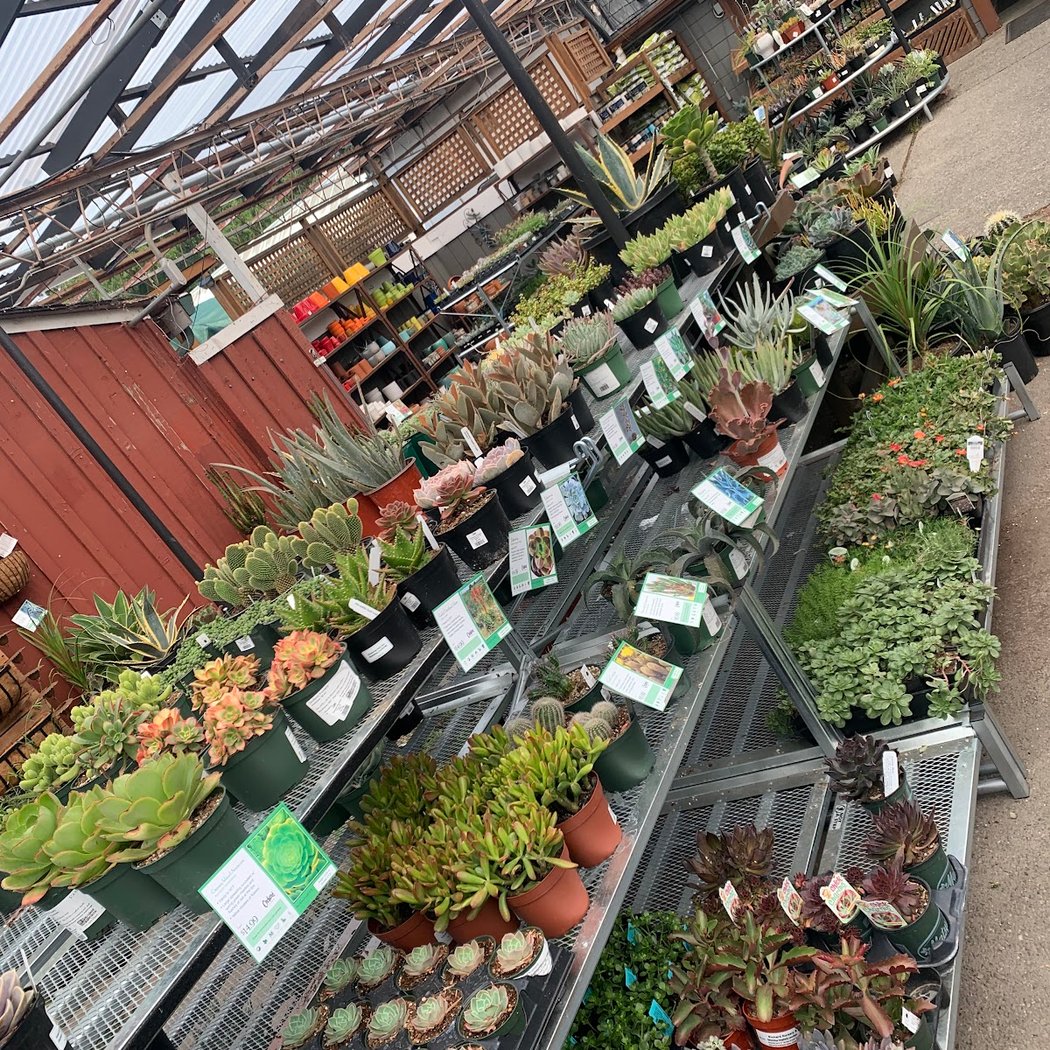 Orchard Nursery 2