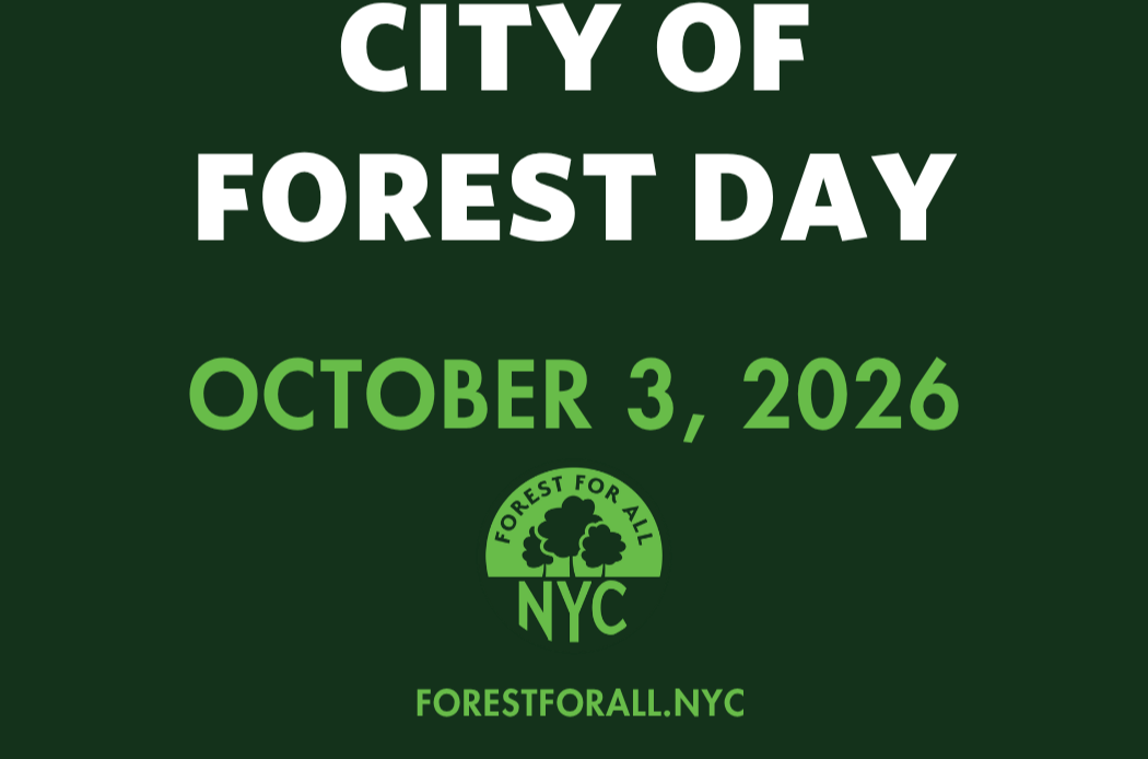 City of Forest Day 2026