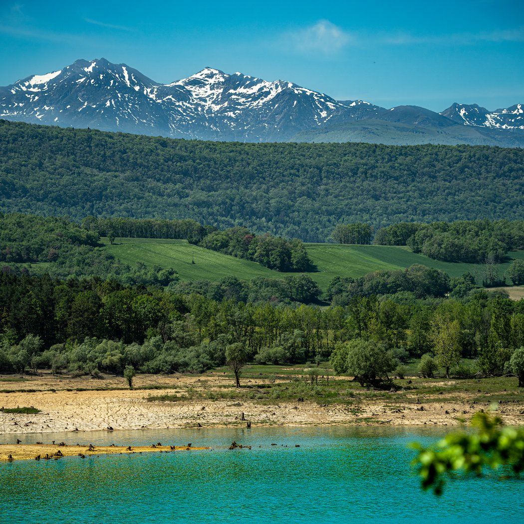 Lac de Montbel 1