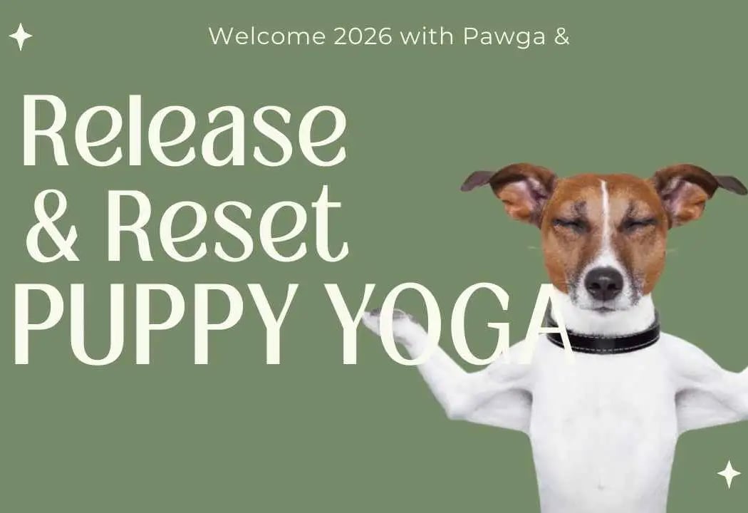 2026 Reset Puppy Yoga 1