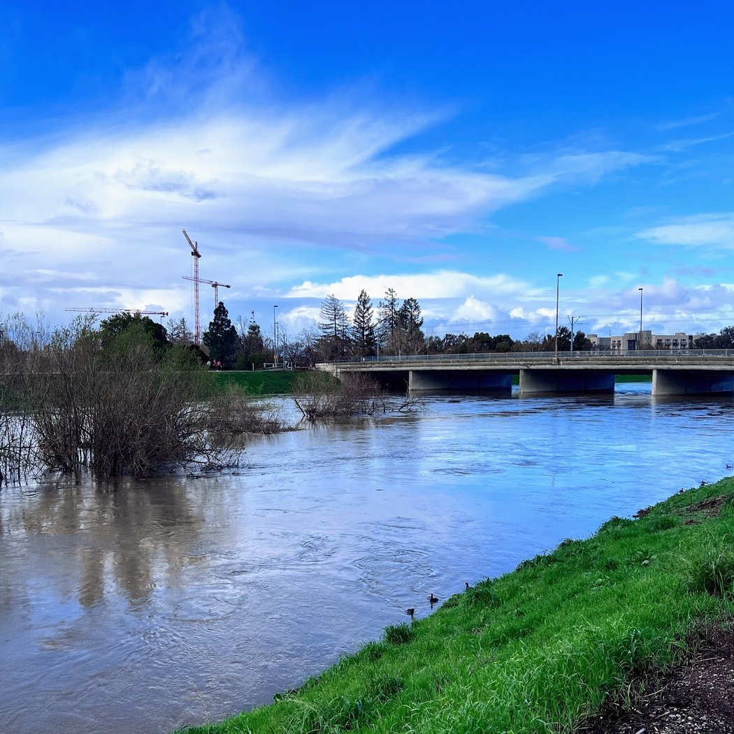 Lower Guadalupe River Trail 3